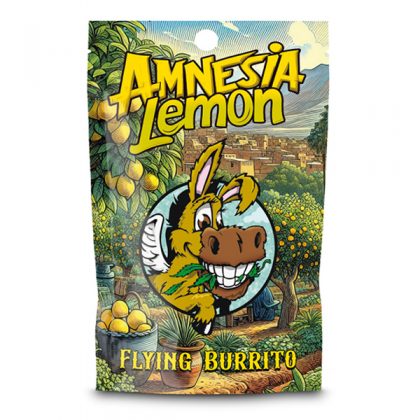CBD Hash Flying Burrito Amnesia Lemon  10 gr.