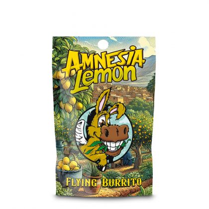 CBD Hash Flying Burrito Amnesia Lemon   2 gr.
