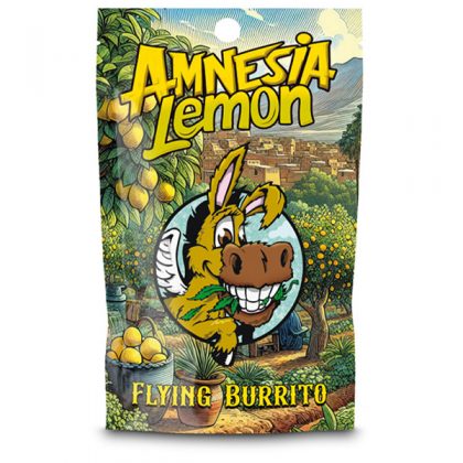 CBD Hash Flying Burrito Amnesia Lemon  25 gr.