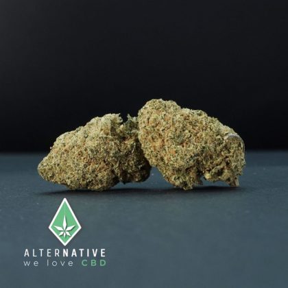 Cañamo Cbd  Alternative Candy Kush Indoor 5 gr.