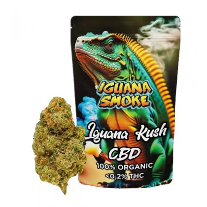 Cañamo Cbd Iguana Smoke   Iguana Kush 10 gr.