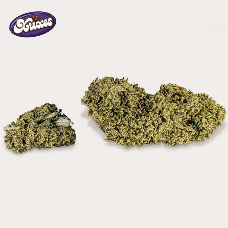 Cañamo Cbd Xuxes Cookies 3 gr. - Imagen 2
