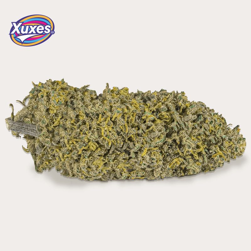 Cañamo Cbd Xuxes Amnesia 3 gr. - Imagen 2