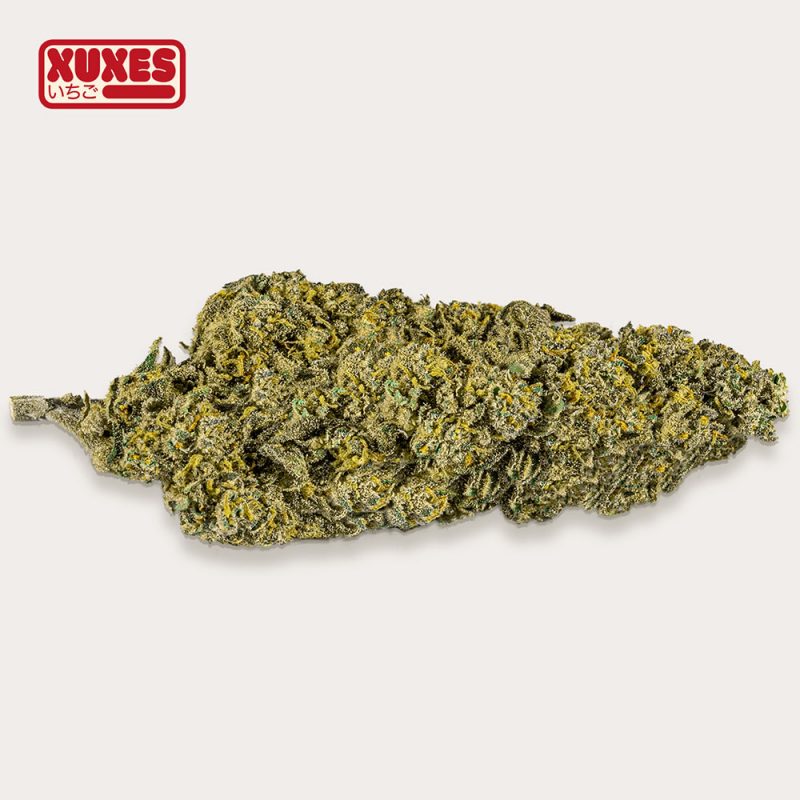 Cañamo Cbd Xuxes Strawberry 3 gr. - Imagen 2