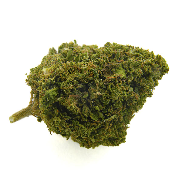 CBD Bee Cheese Poison 10 gr. - Imagen 2