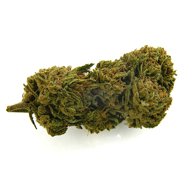 CBD Bee Gelato 10 gr. - Imagen 2