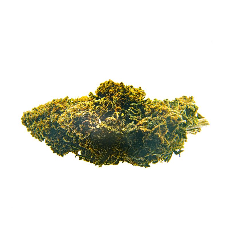 CBD Bee  Amnesia  5 gr. - Imagen 2