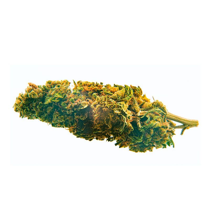 CBD Bee  Blueberry 10 gr. - Imagen 2