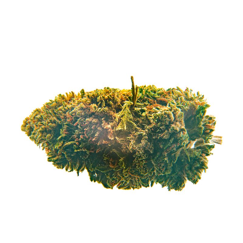 CBD Bee  White Widow  3 gr. - Imagen 2