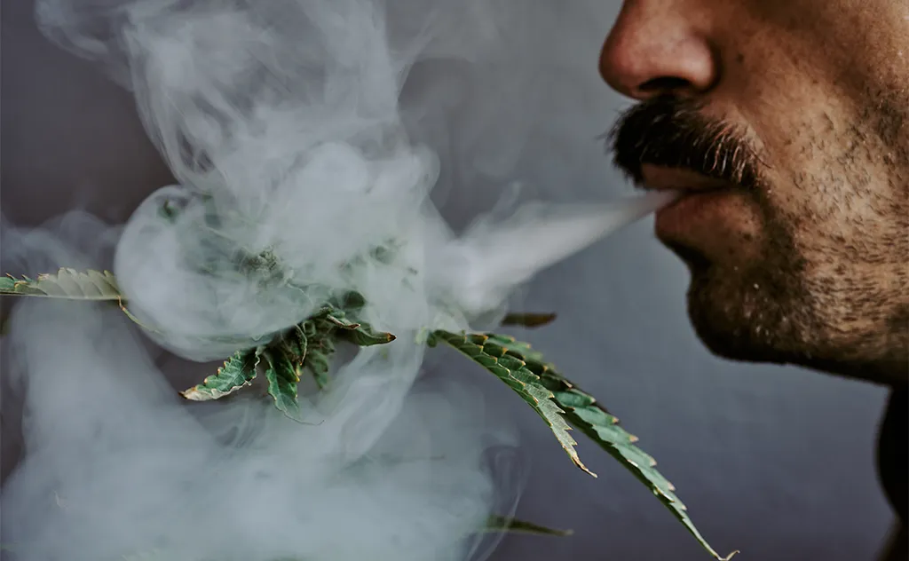 ¿Cuánto tarda en hacer efecto el CBD? Factores que influyen